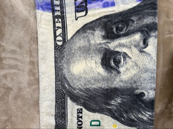 Towel: 100 Dollar